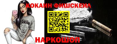 стафф Гатчина