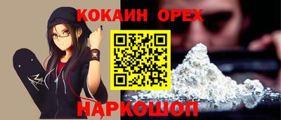 стафф Гатчина