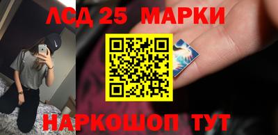 стафф Гатчина