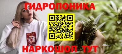 соль курить ск Гай