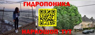 стафф Гатчина