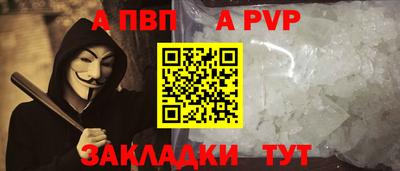 стафф Гатчина