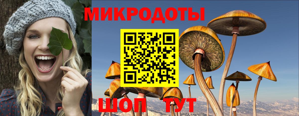 Псилоцибиновые грибы мицелий Пенза