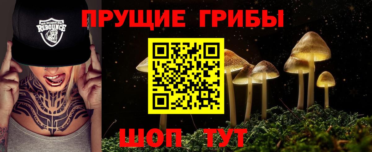 Пенза  Псилоцибиновые грибы ЛСД  Вход с VPN 